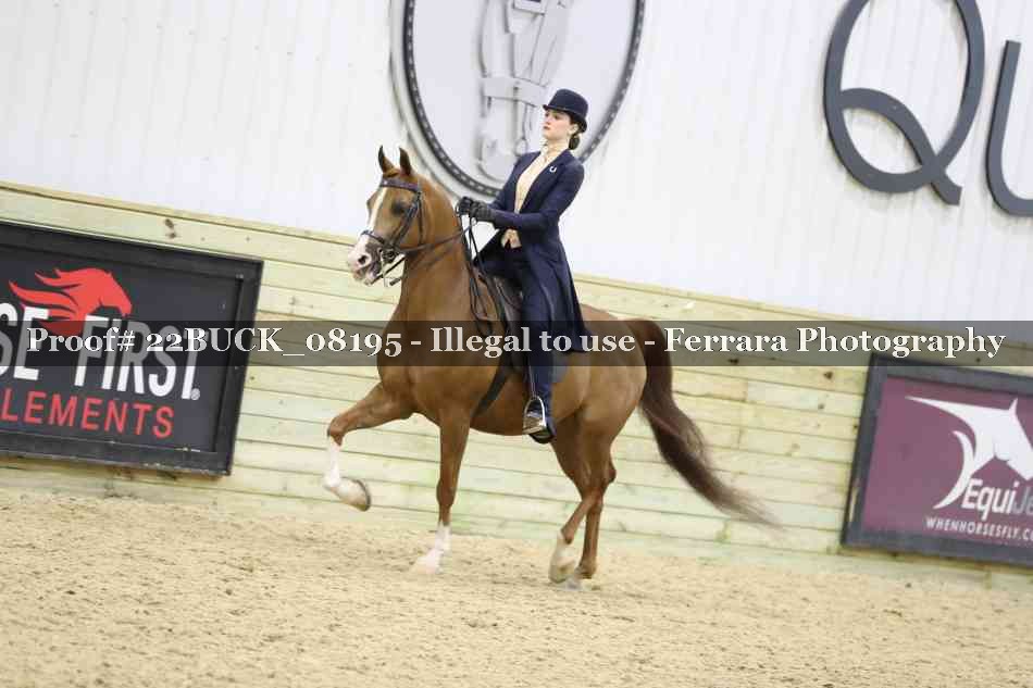 Proof 22BUCK_08195