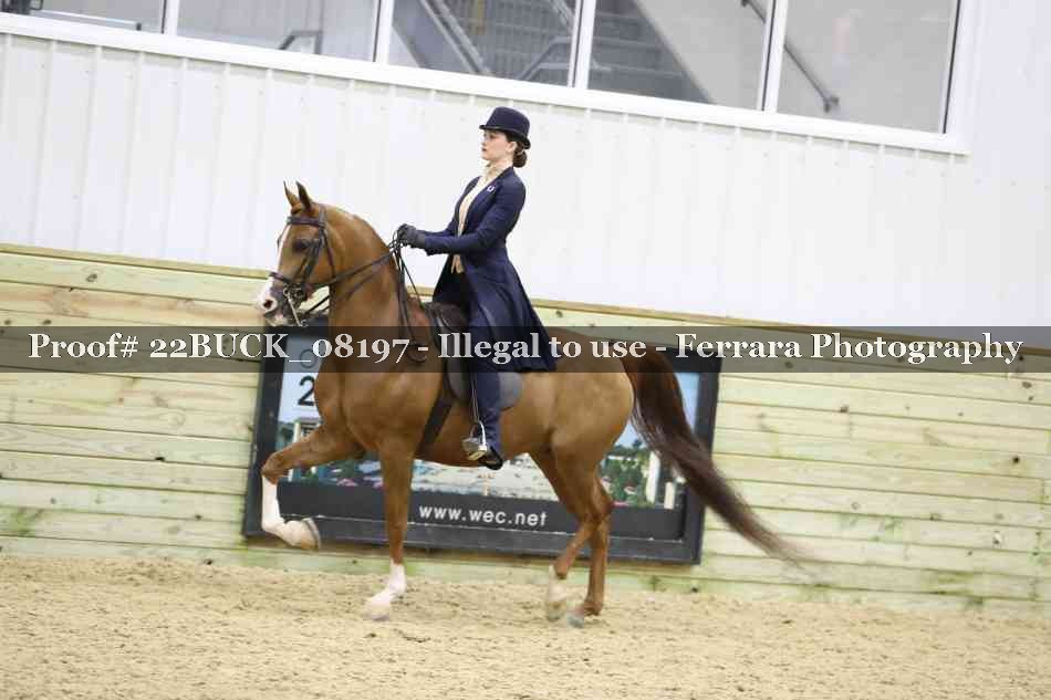 Proof 22BUCK_08197