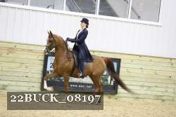 22BUCK_08197 proof