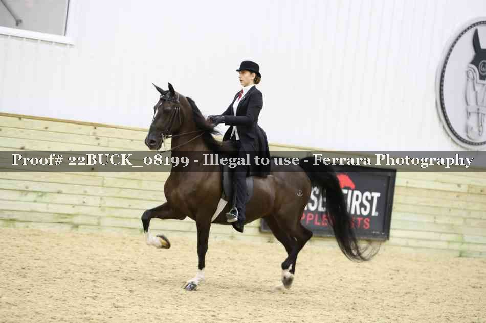 Proof 22BUCK_08199