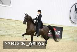 22BUCK_08199 proof