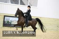 22BUCK_08200 proof