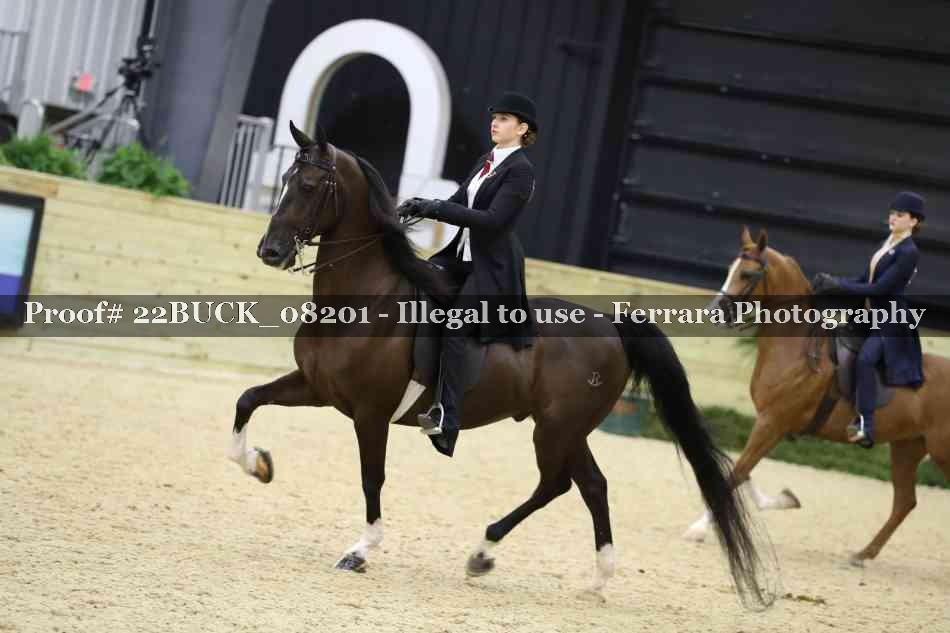 Proof 22BUCK_08201