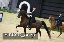 22BUCK_08201 proof