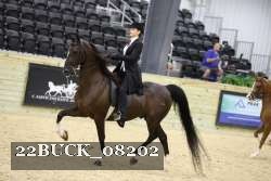 22BUCK_08202 proof