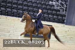 22BUCK_08203 proof