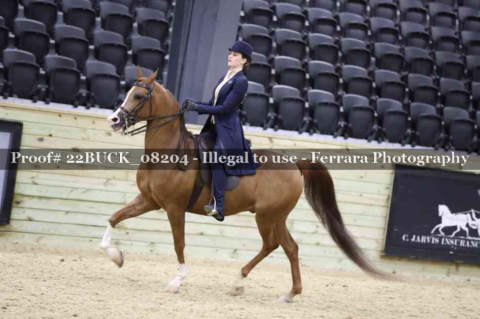 Proof 22BUCK_08204