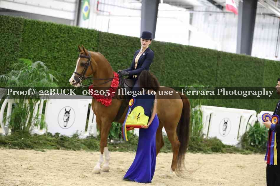 Proof 22BUCK_08205