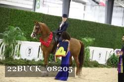 22BUCK_08205 proof