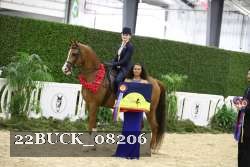 22BUCK_08206 proof