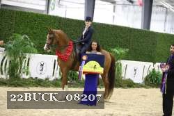 22BUCK_08207 proof