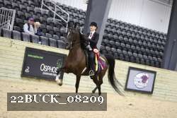 22BUCK_08209 proof