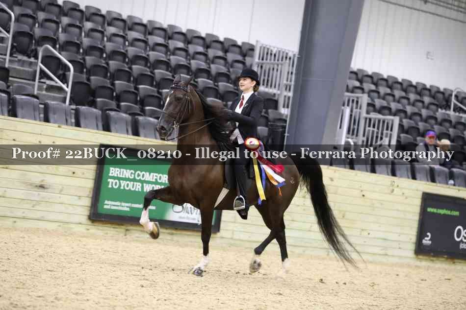 Proof 22BUCK_08210
