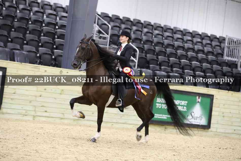 Proof 22BUCK_08211