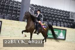 22BUCK_08211 proof