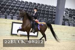 22BUCK_08212 proof