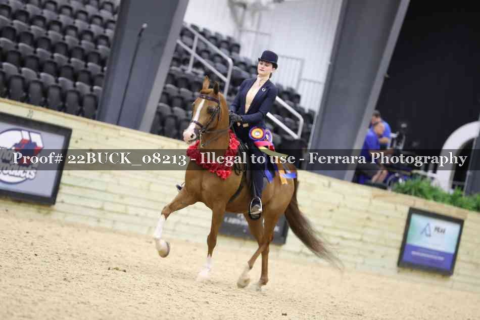 Proof 22BUCK_08213