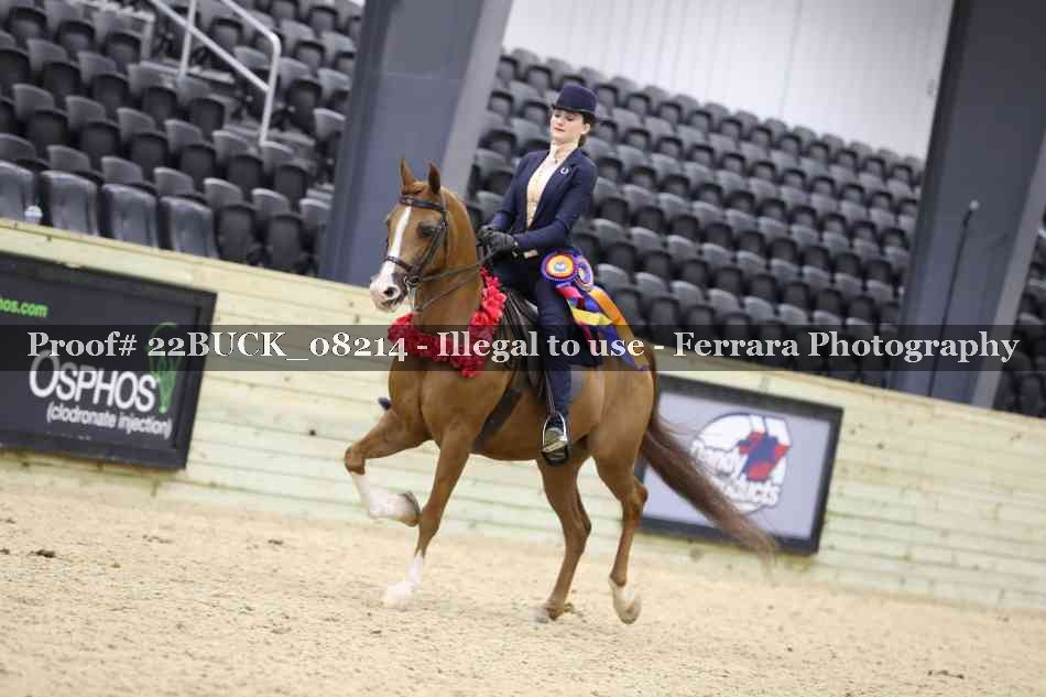 Proof 22BUCK_08214