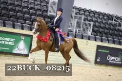 22BUCK_08215 proof