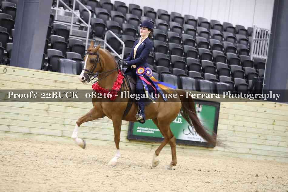 Proof 22BUCK_08216