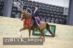 22BUCK_08216 proof