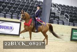 22BUCK_08217 proof