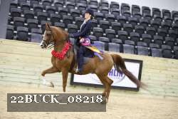 22BUCK_08218 proof