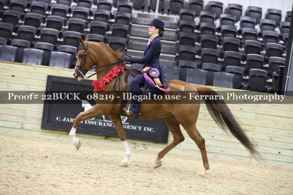 Proof 22BUCK_08219