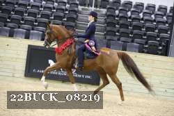 22BUCK_08219 proof