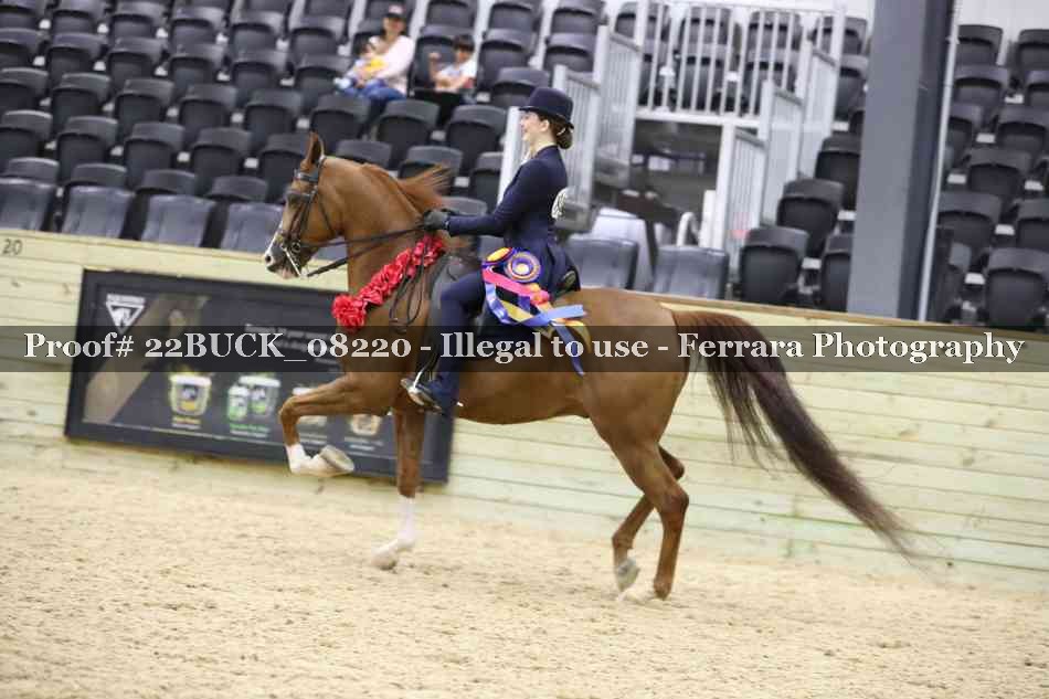 Proof 22BUCK_08220