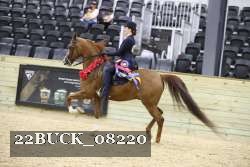 22BUCK_08220 proof