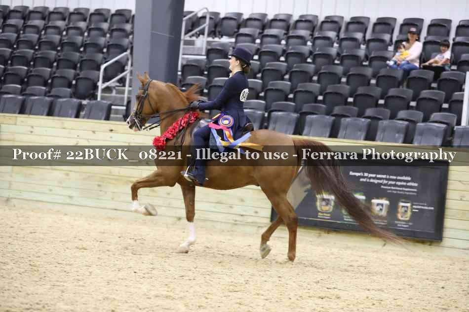 Proof 22BUCK_08221