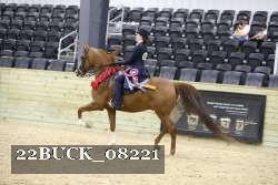 22BUCK_08221 proof