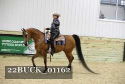 22BUCK_01162 proof