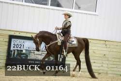 22BUCK_01164 proof