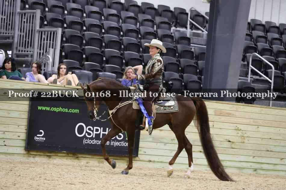 Proof 22BUCK_01168