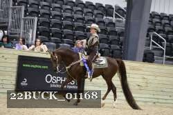 22BUCK_01168 proof