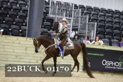 22BUCK_01170 proof