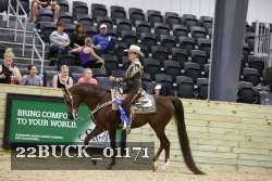 22BUCK_01171 proof
