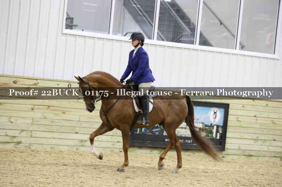 Proof 22BUCK_01175
