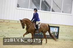 22BUCK_01175 proof