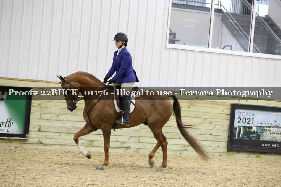 Proof 22BUCK_01176