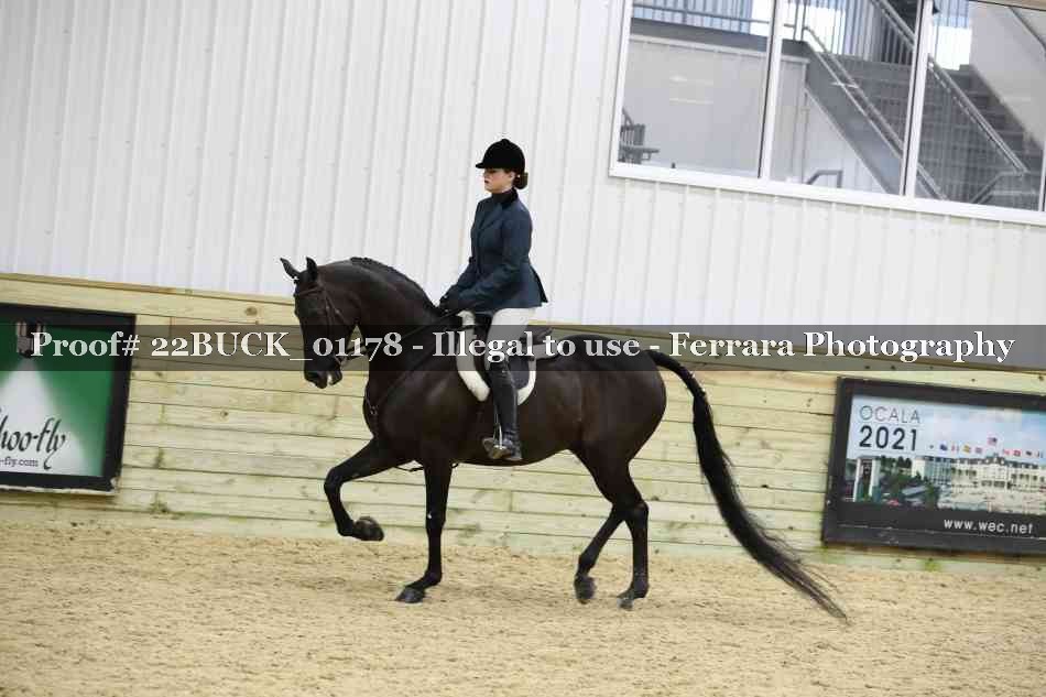 Proof 22BUCK_01178