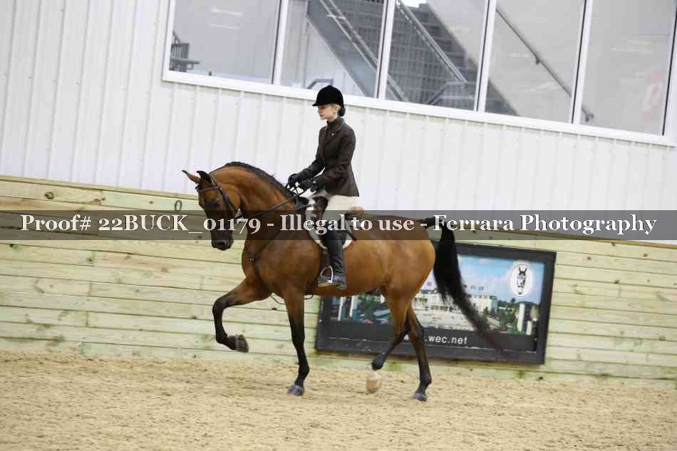 Proof 22BUCK_01179