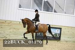 22BUCK_01179 proof