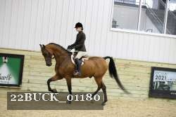 22BUCK_01180 proof