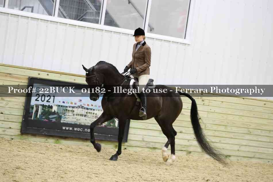 Proof 22BUCK_01182