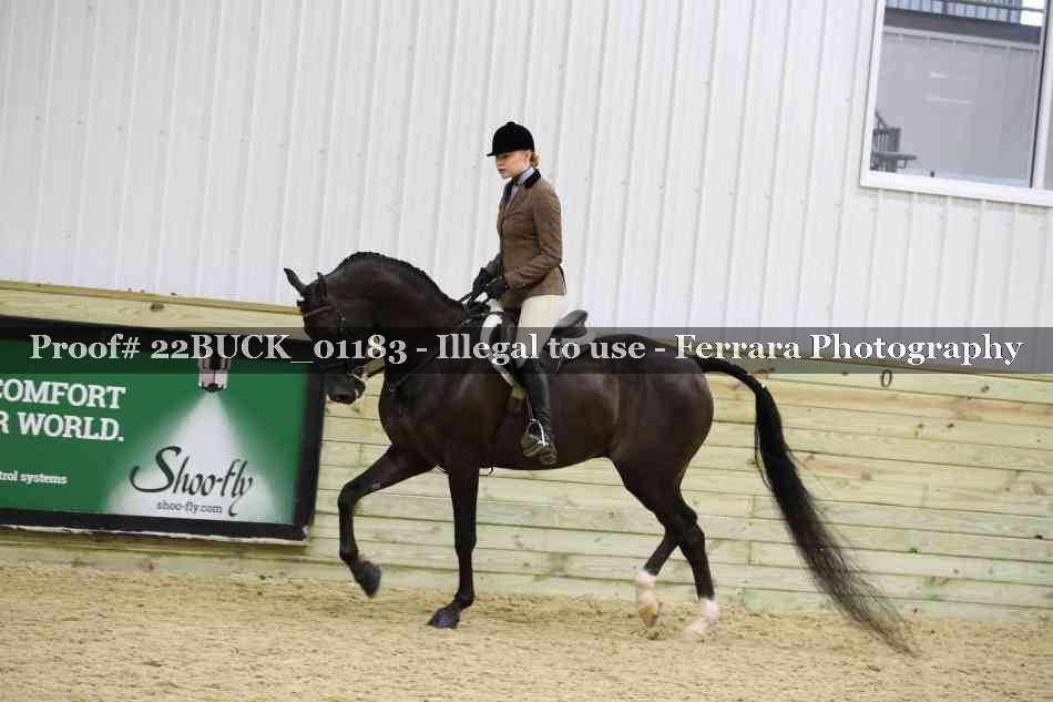 Proof 22BUCK_01183
