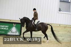 22BUCK_01183 proof