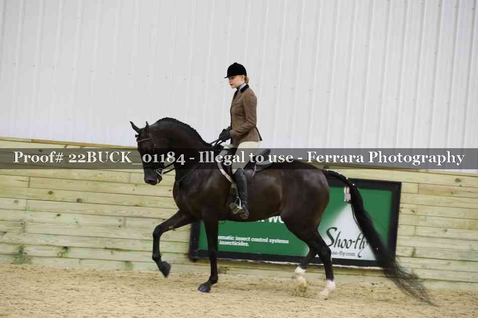 Proof 22BUCK_01184